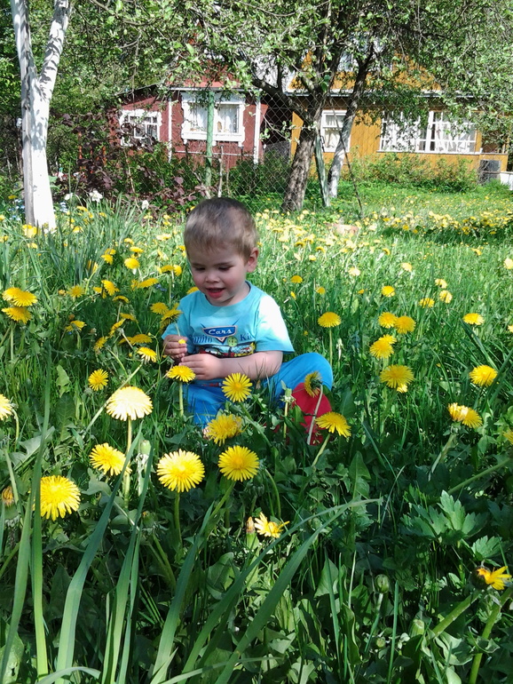 Дача. Май. Неопубликованное