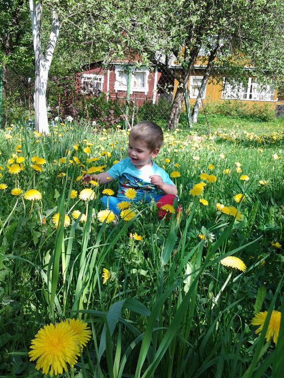 Дача. Май. Неопубликованное