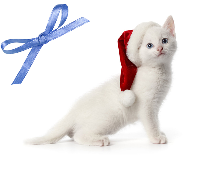 Новогодняя викторина от MY-SHOP.RU