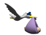 0c9913c24838c8410a1c4833e53c0df4.gif