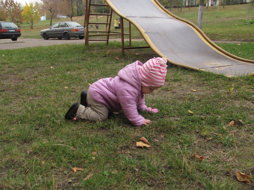 ee352deff36783295795099df18218c6.jpg