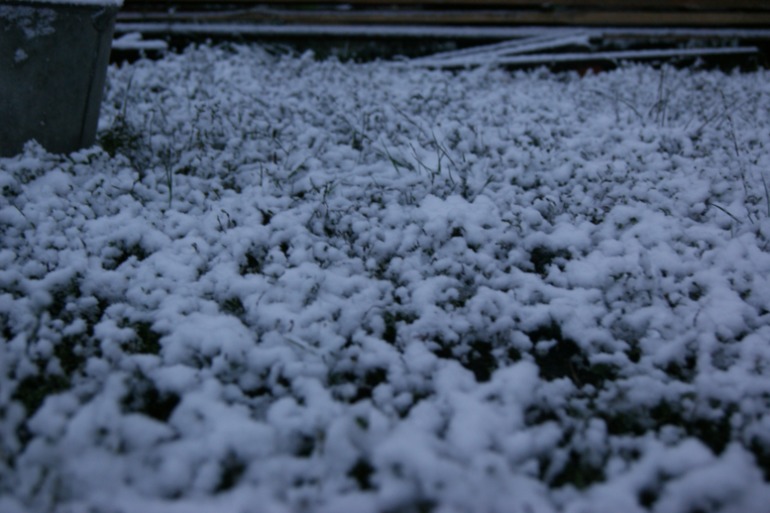 нас утро встречает прохладой!!!