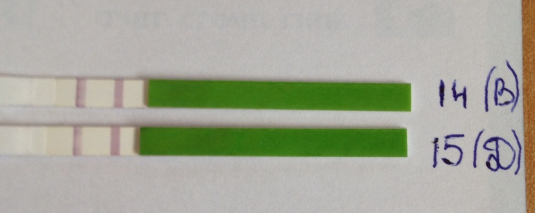 Нужна помощь зала