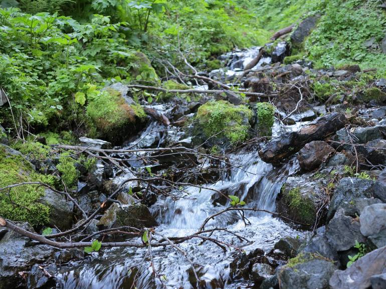 Камчатка - любовь моя. Осторожно, куча фото)