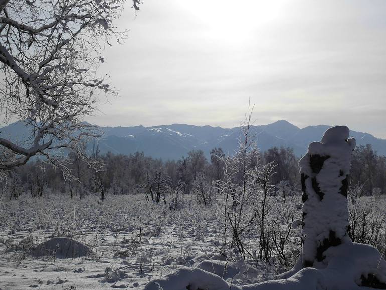 Камчатка - любовь моя. Осторожно, куча фото)