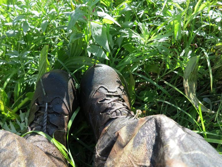 Камчатка - любовь моя. Осторожно, куча фото)