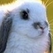Туфли для полных ножек !остатки 2012 г. Распродажа!