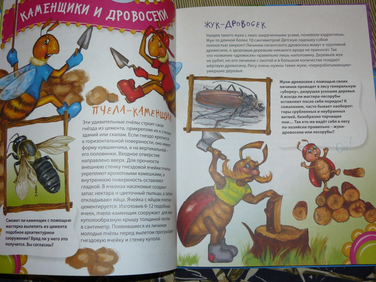 Профессии животных