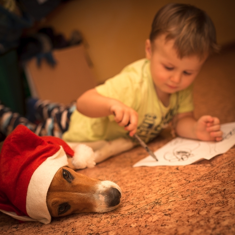 Жизнь под потолком