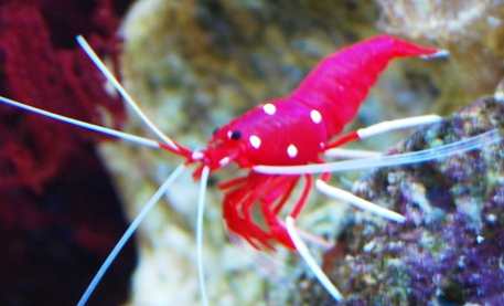 Океанариум(г.Киев)