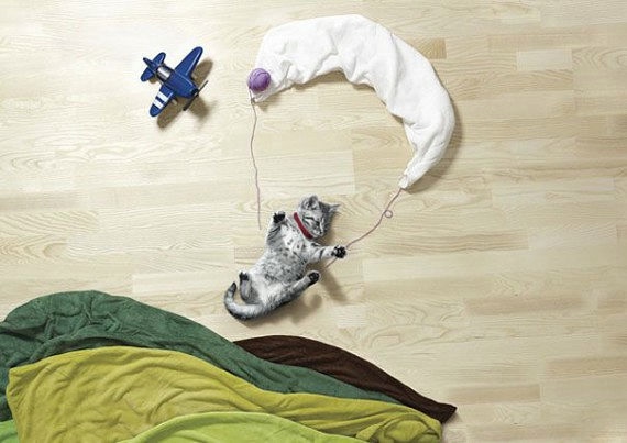 Креатив с учатием животных.