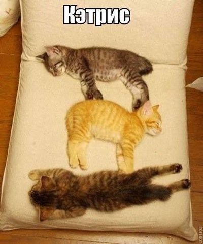 Масленица:)