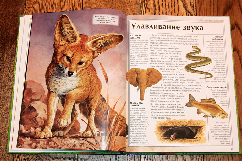 Атлас животных.