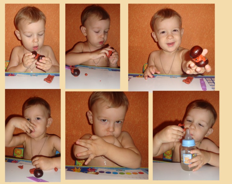 ТН "В осенним лесу"