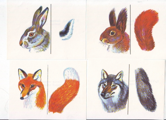 ТН "В осенним лесу"