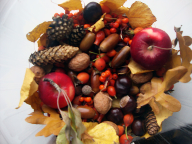 ТН "В осенним лесу"