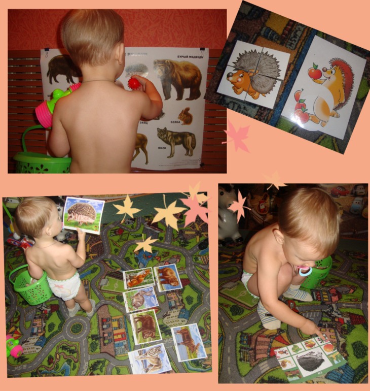 ТН "В осенним лесу"