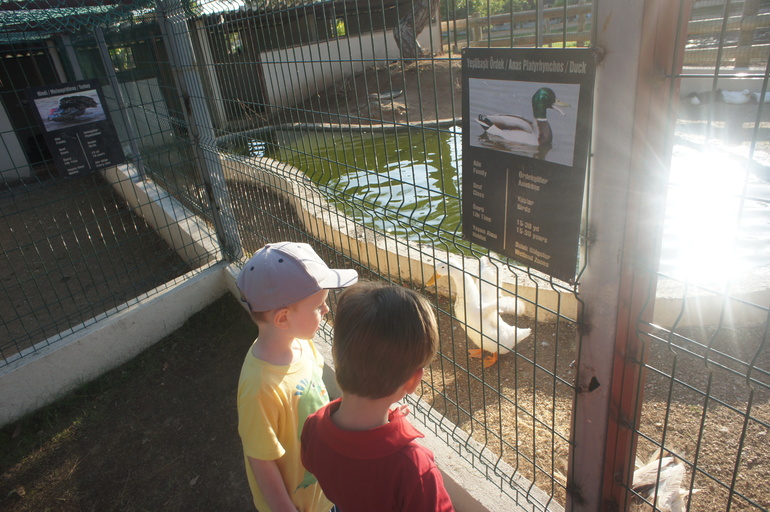 Club Hotel Turan Prince World 5* в мае