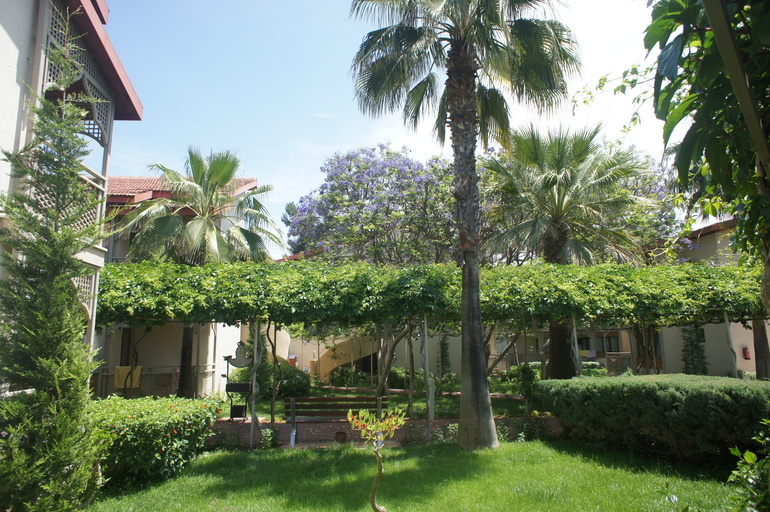 Club Hotel Turan Prince World 5* в мае