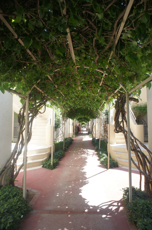 Club Hotel Turan Prince World 5* в мае