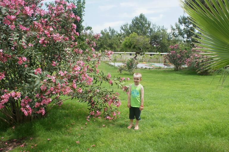 Club Hotel Turan Prince World 5* в мае