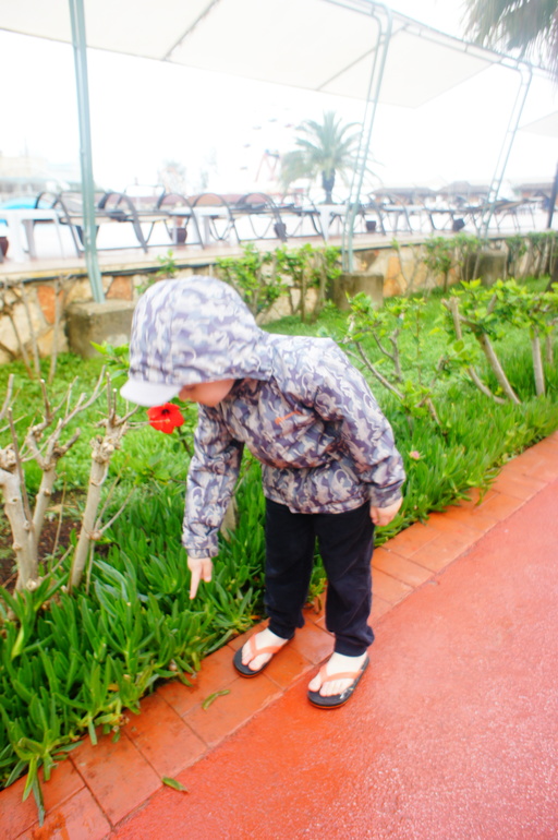 Club Hotel Turan Prince World 5* в мае