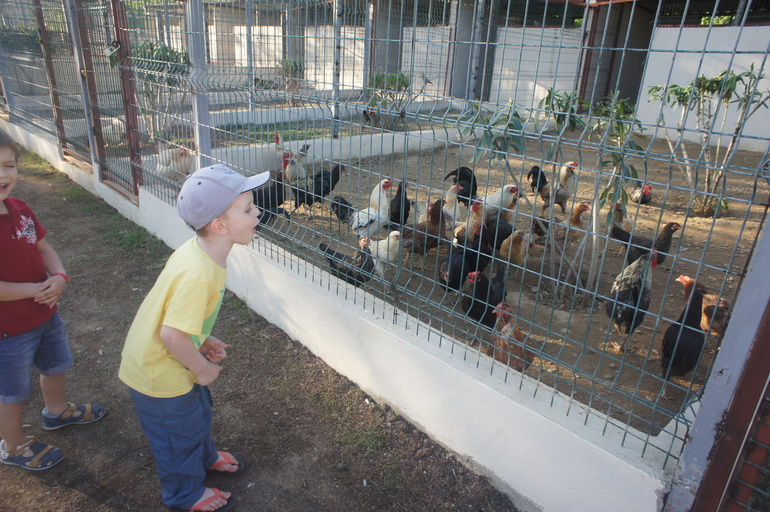 Club Hotel Turan Prince World 5* в мае