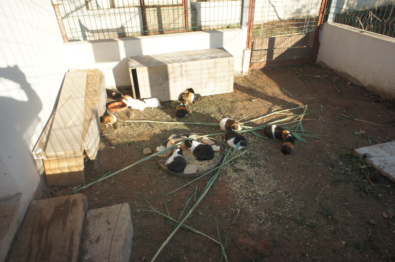 Club Hotel Turan Prince World 5* в мае