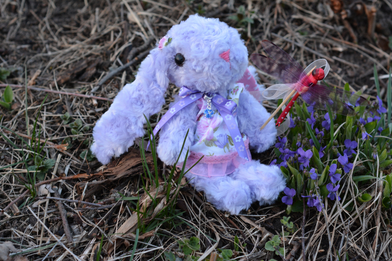 Фиалочка и стрекозка :)