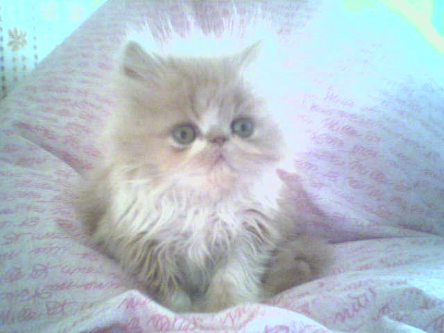 ФМ от Катюши, мои 17 лет))