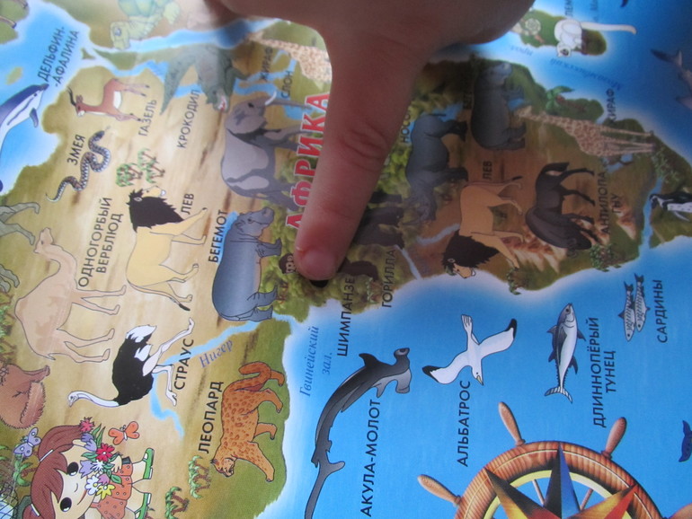 ФМ Готовим вместе с детьми.Банановые оладьи