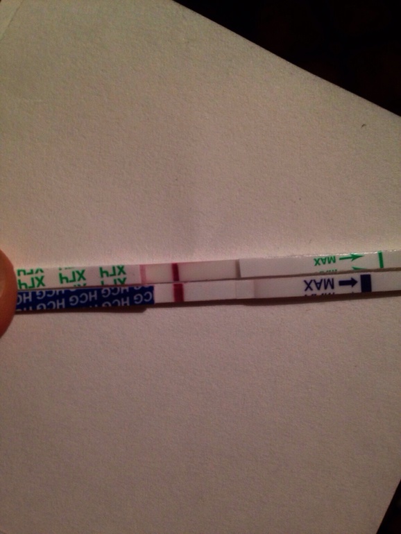 Ох уж эта тестомания!)