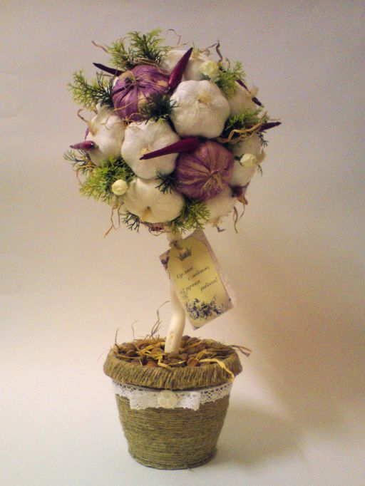 новичков принимаете?