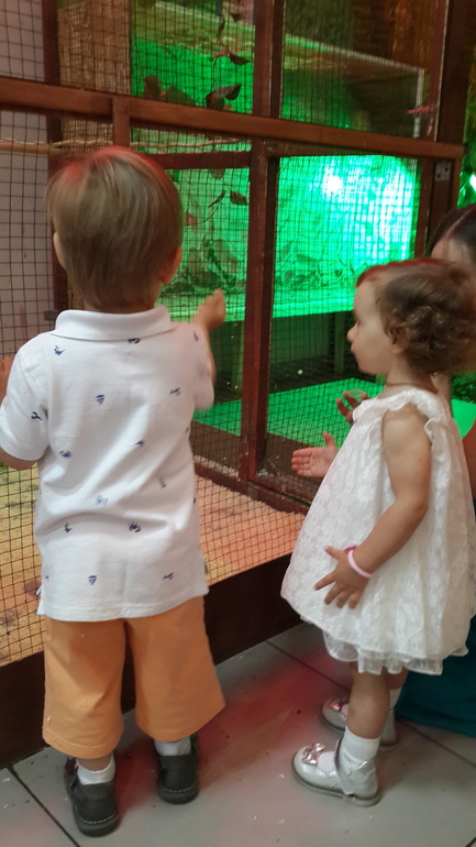 Контактный зоопарк (много фоток)