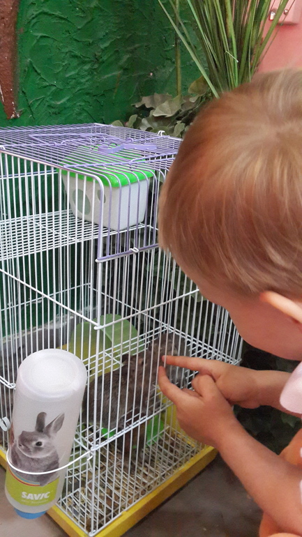 Контактный зоопарк (много фоток)