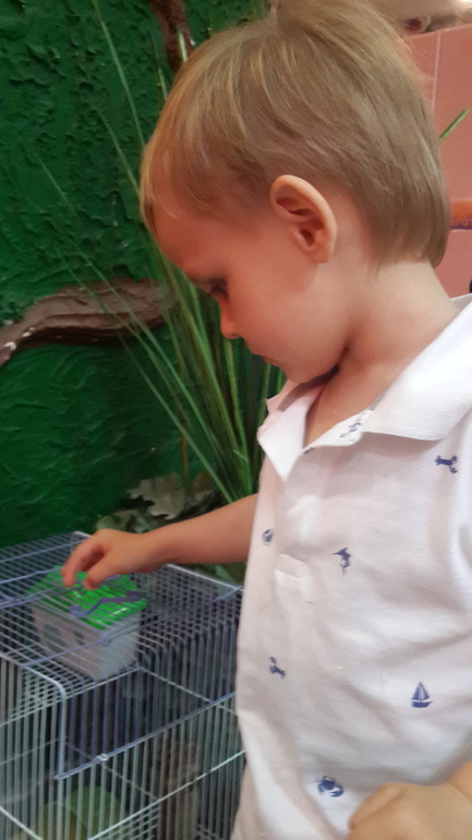 Контактный зоопарк (много фоток)