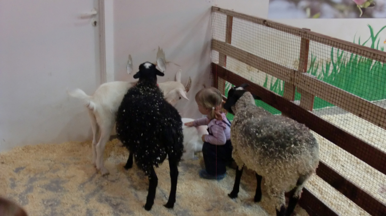 Контактный зоопарк на Тушинской (2г 5 мес)