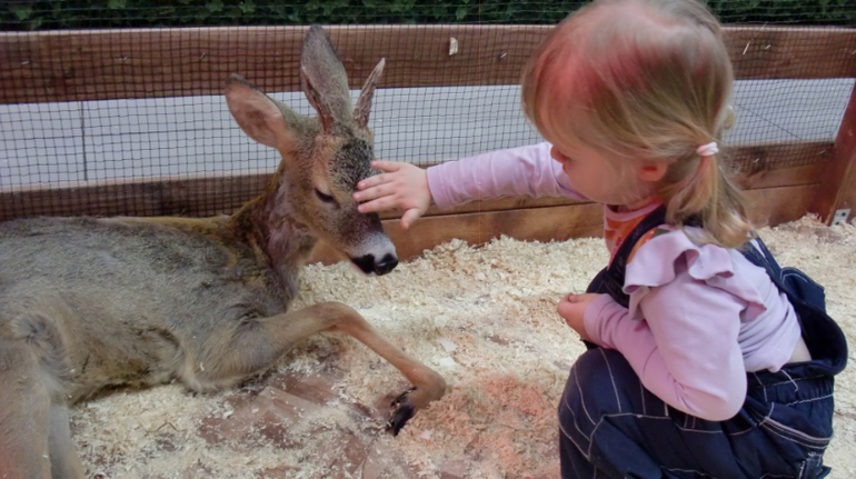 Контактный зоопарк на Тушинской (2г 5 мес)