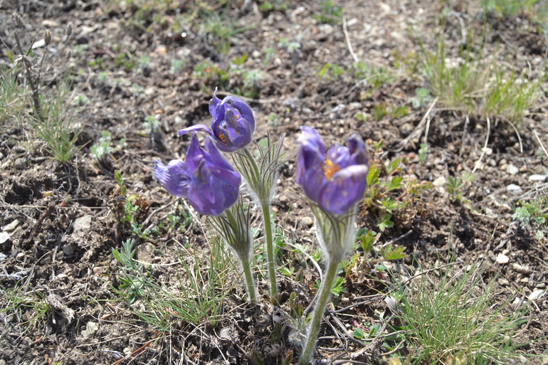 Пасха 2014. Поход