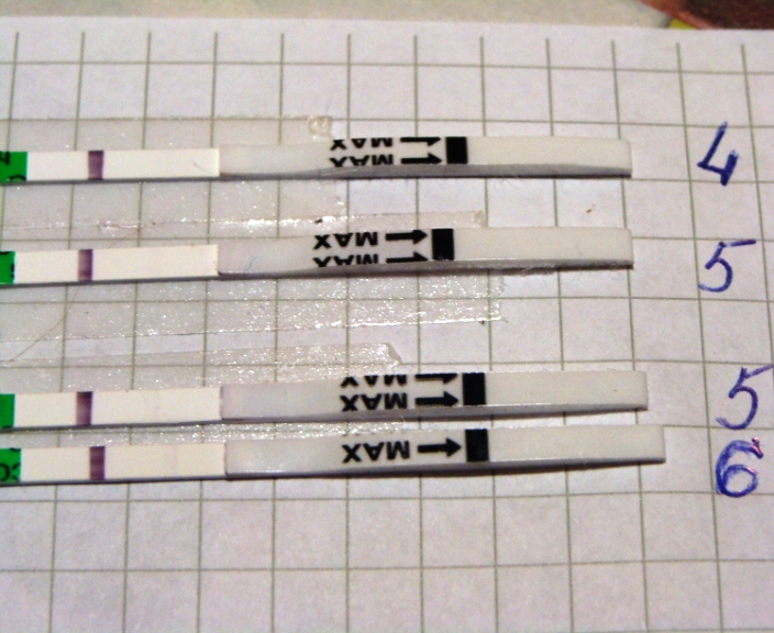 А я что то вижуууу. а ВЫ? (5dpp)