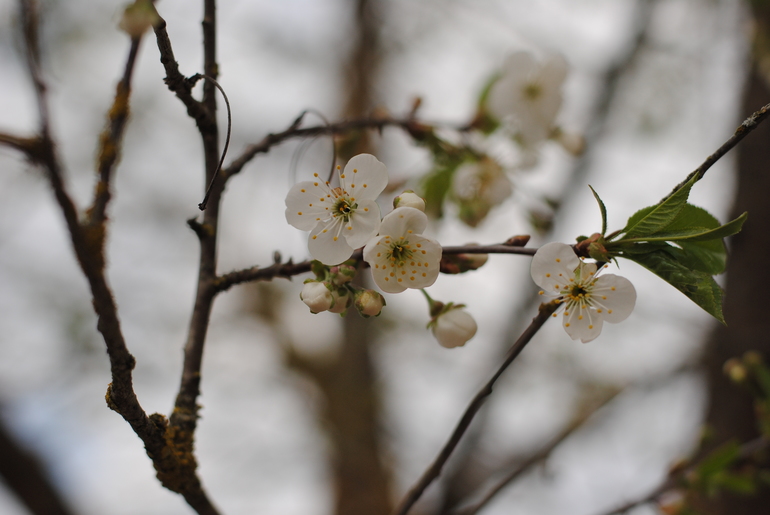 Первый шаг – самое простое и одновременно трудное…