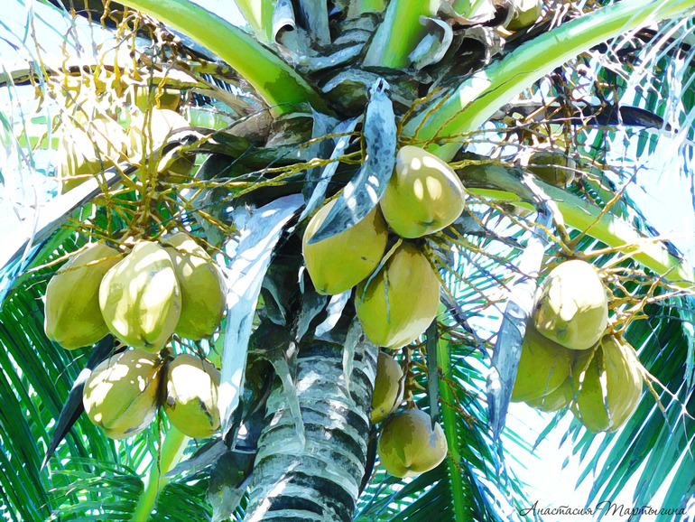 Контрольное задание № 37. Легкий эффект акварели