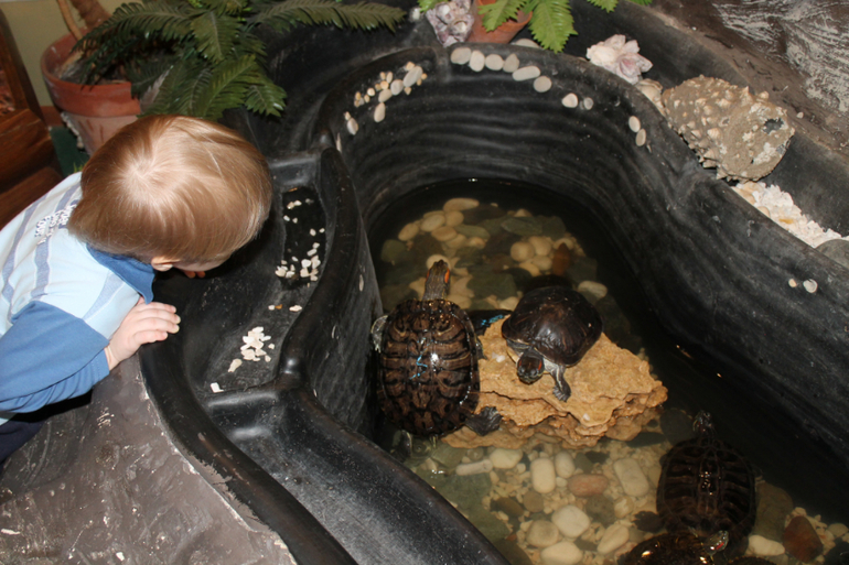 Контактный зоопарк