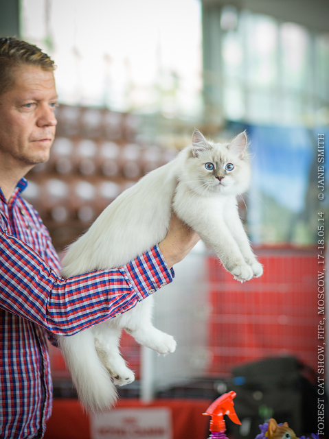 Мой мужчинка.