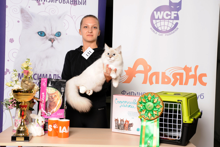 Хотим поделиться с Вами победами