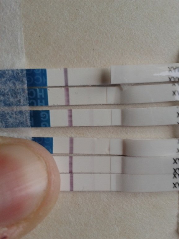 Неужели снова БхБ???? 12-13ДПО