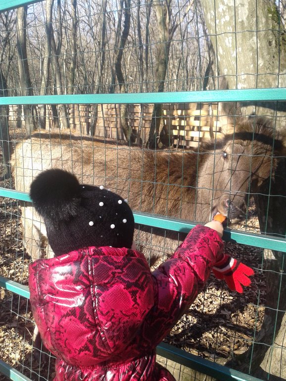 Наши выходные. Немного фото