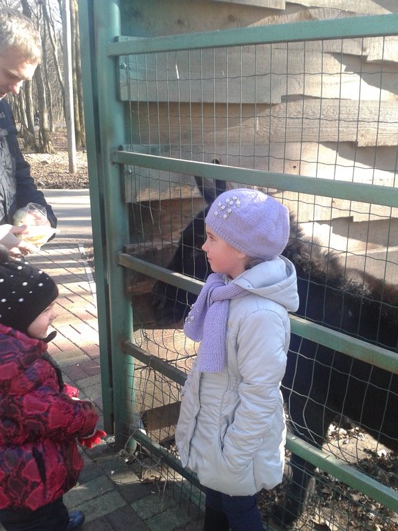 Наши выходные. Немного фото