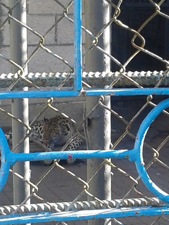 Наши выходные. Немного фото