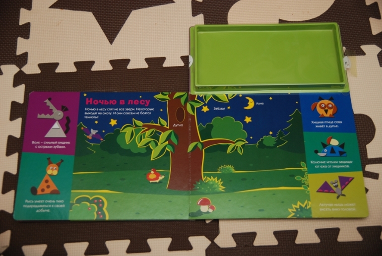 От слона до крокодила